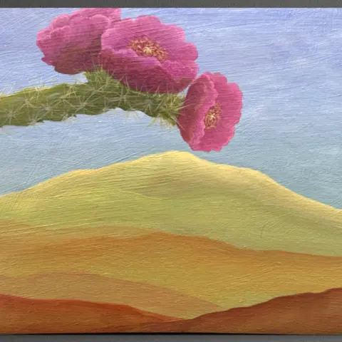 Cholla and hills