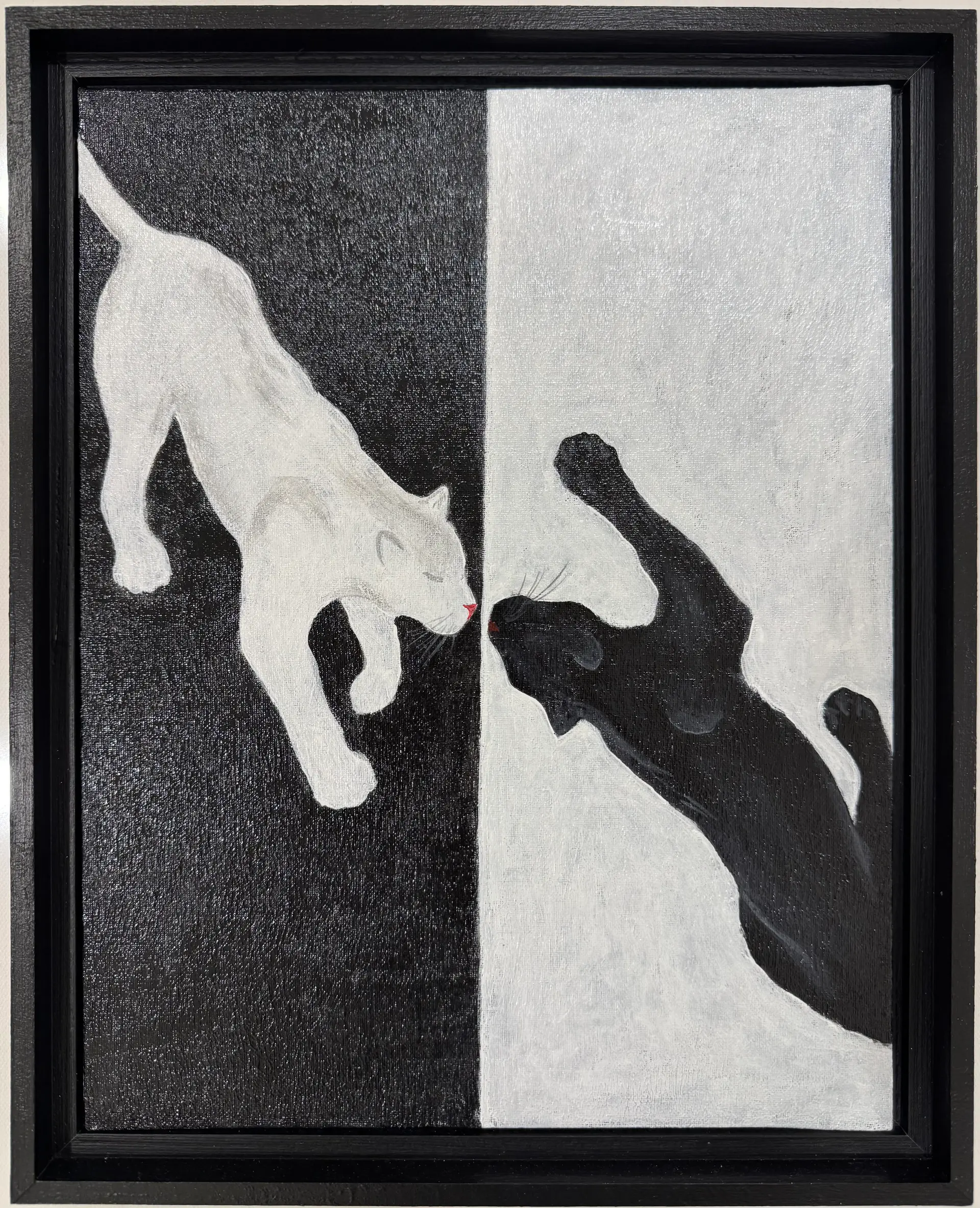 A study work on black and white animal duo