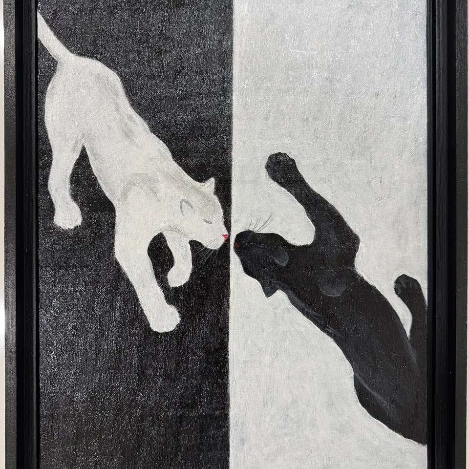 A study work on black and white animal duo